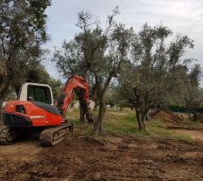 Plateforme en cours de création