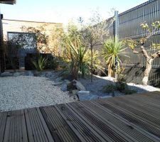 Vue de la terrasse de derriÃ¨re avec en premier plan un pied de vigne offert par le paysagiste