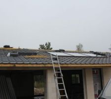 Panneaux solaires