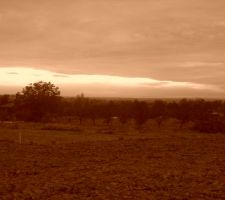 Admirez la vue de notre parcelle !!!
Vivement les soirées d'été en terrasse :)