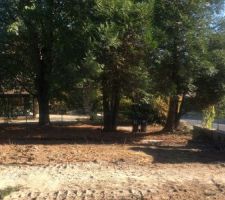 Notre terrain après démolition et coupe des arbres