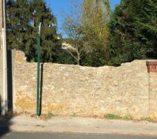 Notre terrain après démolition et coupe des arbres