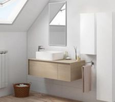 Choix des meubles de salle de bain des loulous : Meubles blanc graphique et bois Néo ( Leroy Merlin) posés en quinconces comme sur la photo,la colonne en moins. La vasque sera une vasque carrée à posée,photo 2 ( Leroy Merlin ) et le miroir rond Diam 90 lumineux à Led (LM)