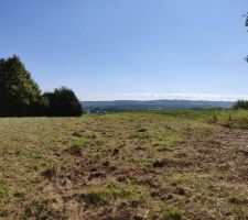 Vue exposition sud du terrain avec le champ situ&eacute; en zone naturelle a droite