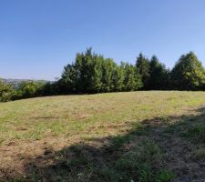 Vue exposition nord avec les arbres situés sur notre terrain en limite de propriété.