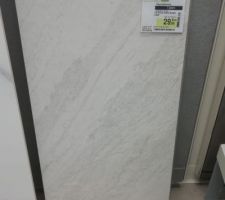 Mes idées faïences et carrelage sol de sdb se précisent...