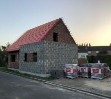 Tuile plates ardoisés et fenêtres Velux