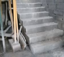 Escaliers SSol/RDC