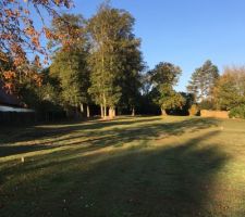Voila le terrain qui attend sa maison!...