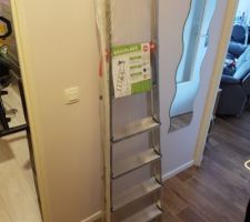 Achat d'un petit escabeau en promo