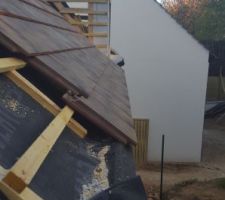Couverture en cours.
La découpe du cache moineaux ne nous semble pas belle.