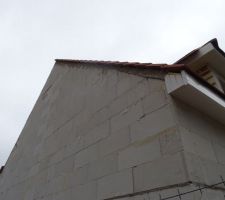 Couverture en cours.
Le cache moineaux nous semble coupé un peu bas ?