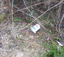 Aperçu d'un des nombreux pots de yaourts abandonnés parterre sur notre terrain