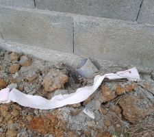 Aperçu de papier toilette devant notre maison (on constate également que le tuyau d'aération du vide sanitaire a été littéralement tordu)