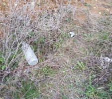 Bouteille plastique, pot de yaourt