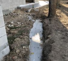 Barrières anti racines