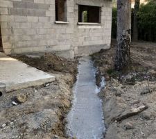 Barrières anti racines