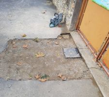 Branchement à l'égoût