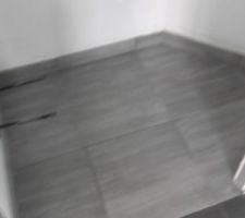 Carrelage WC