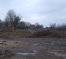 Le bosquet en cours d'abattage