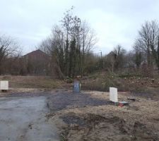 Le bosquet en cours d'abattage