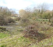 Le bosquet abattu !