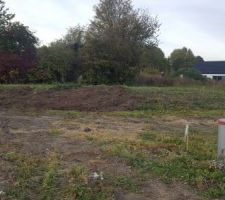 Le mont de souches...a disparu ! :)