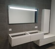 Atelier du WE, montages des meubles de salle de bain, en attente de la vasque
ça y est après,beaucoup de déboires et allers/venues (magasin de bricolage) nous sommes contents du résultat.