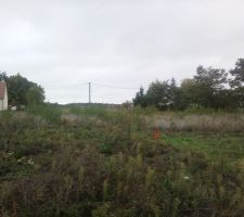 Terrain avant chemin d'acc&eacute;s et d&eacute;frichage