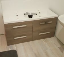 Future double vasque salle de bain