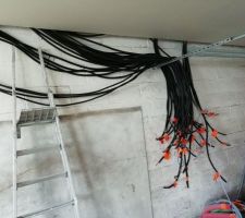 Je commence à passer les cables du RDC. Le tableau electrique principal se trouvera dans le garage