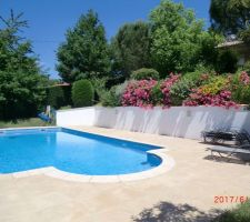 Espace piscine en bas du terrain.