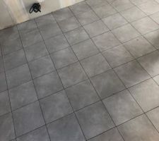 Carrelage pièce de vie.