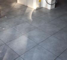 Carrelage pièce de vie.