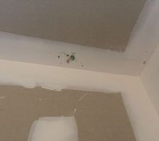Tache de moisi un peu partout sur le plafond de notre maison dans plusieurs pièces
