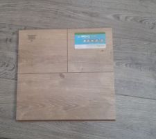 Parquet étage sauf SDB et WC