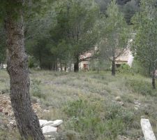 Vue de la terrasse (zone rose sur le plan)