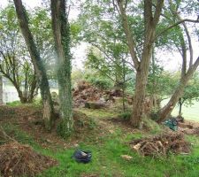 Après un peu de nettoyage ...