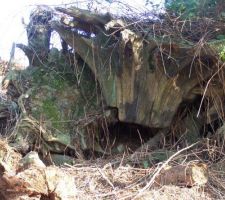 Certaines en suspension et pourtant elles sont très lourdes