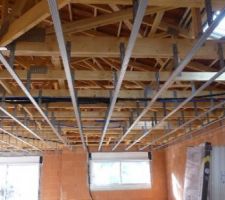 Pose du railage plafond