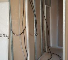 Pose du raillage au sol et cloison