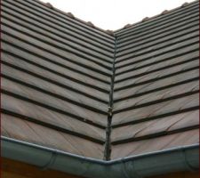 Noue la moins touch&eacute;e