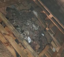 Petite virée nocturne... on voit quand même que ça avance ? et que les gars doivent bien se cailler, vu l'état de la palette !!!??