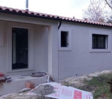 Crépis terminé