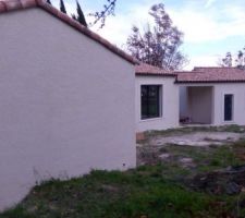 Crépis terminé