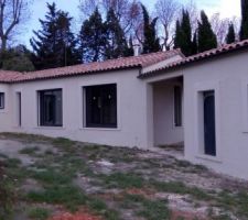 Crépis terminé