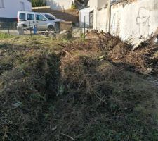 Déboisage et débroussaillage du terrain, nettoyage et enlèvement des déchets verts