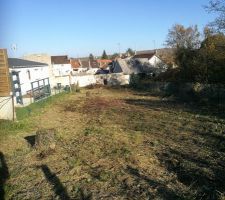 Déboisage et débroussaillage du terrain, nettoyage et enlèvement des déchets verts