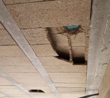 Dégradation du plafond sous sol lors du passage des fluides :(