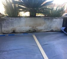 Rénovation du mur de la tropézienne avant